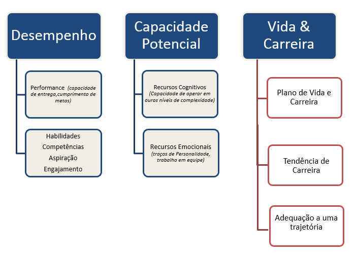 estrutura_assessment