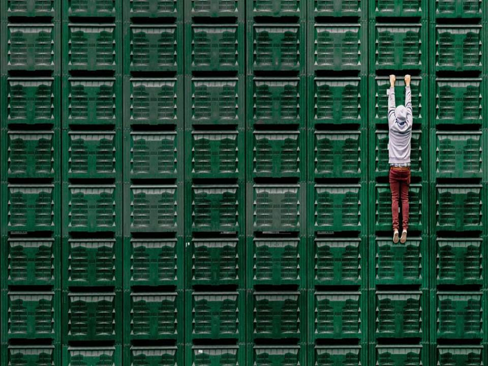 Volatilidade de Mercado e Crescimento Profissional